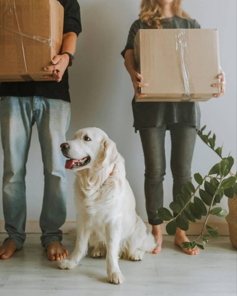 How to Move with Pets: A Comprehensive Guide for a Smooth Transition, Pro100movers