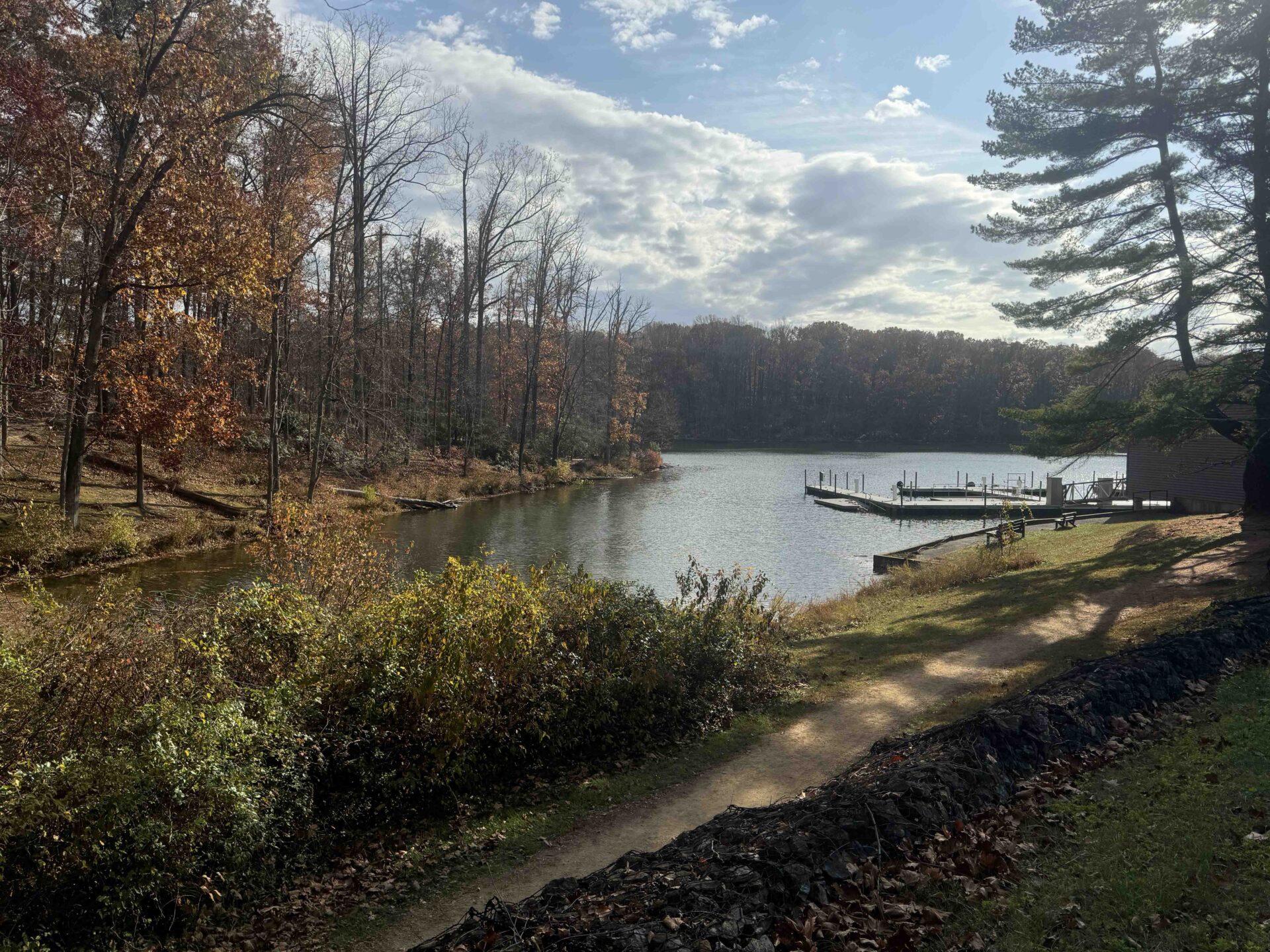 Moving to Germantown with Kids: School Options, Parks, and Family-Friendly Activities