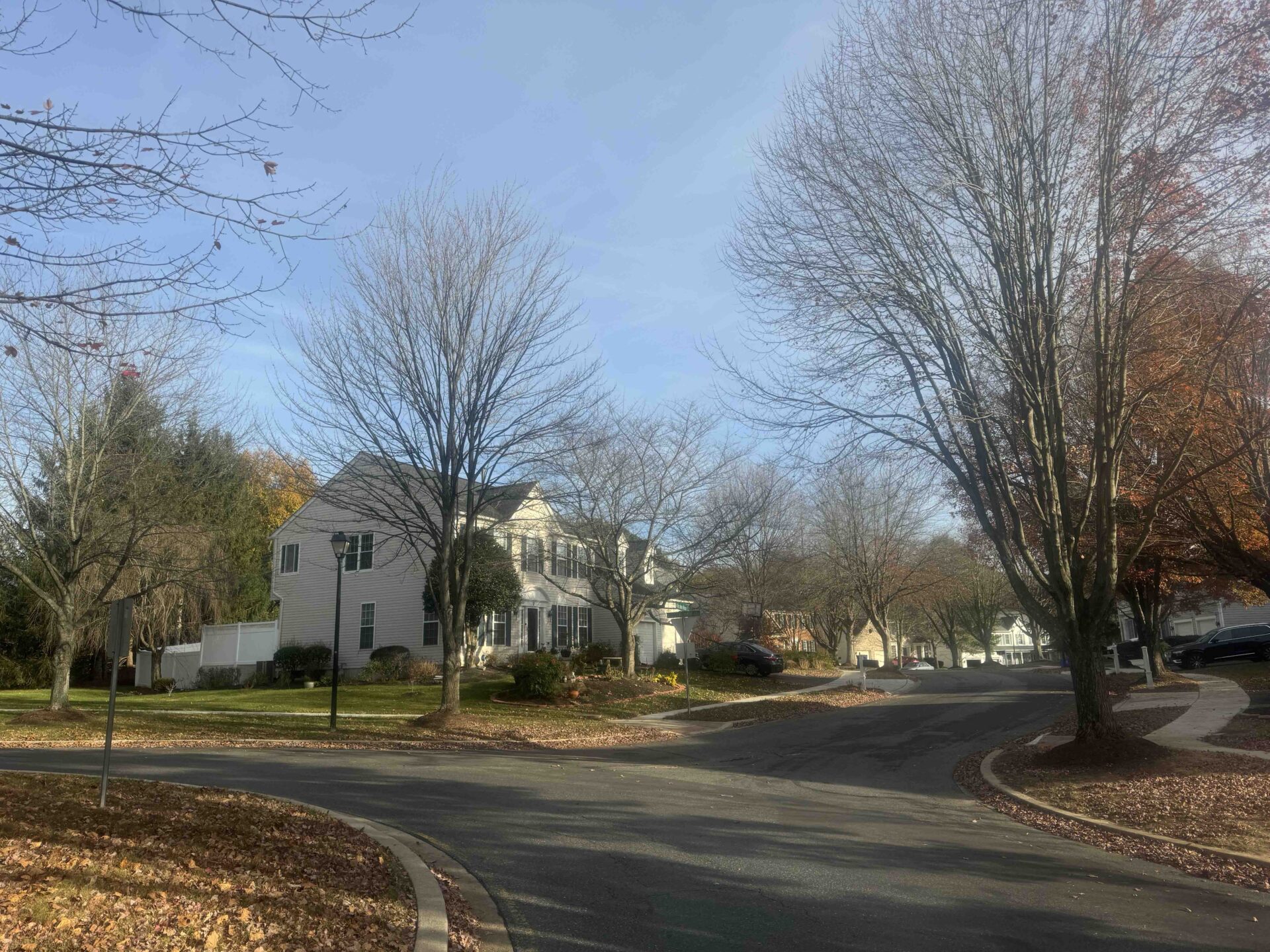 Germantown Spotlight: Why Families are Moving Here in 2025