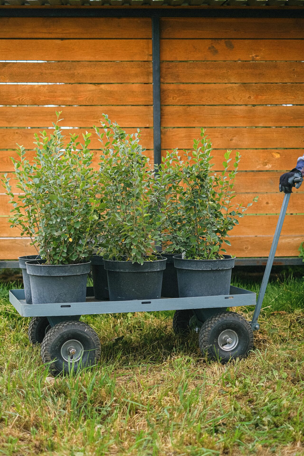 Preparing Your New Home’s Garden for Spring Planting: Essential Tips for Success