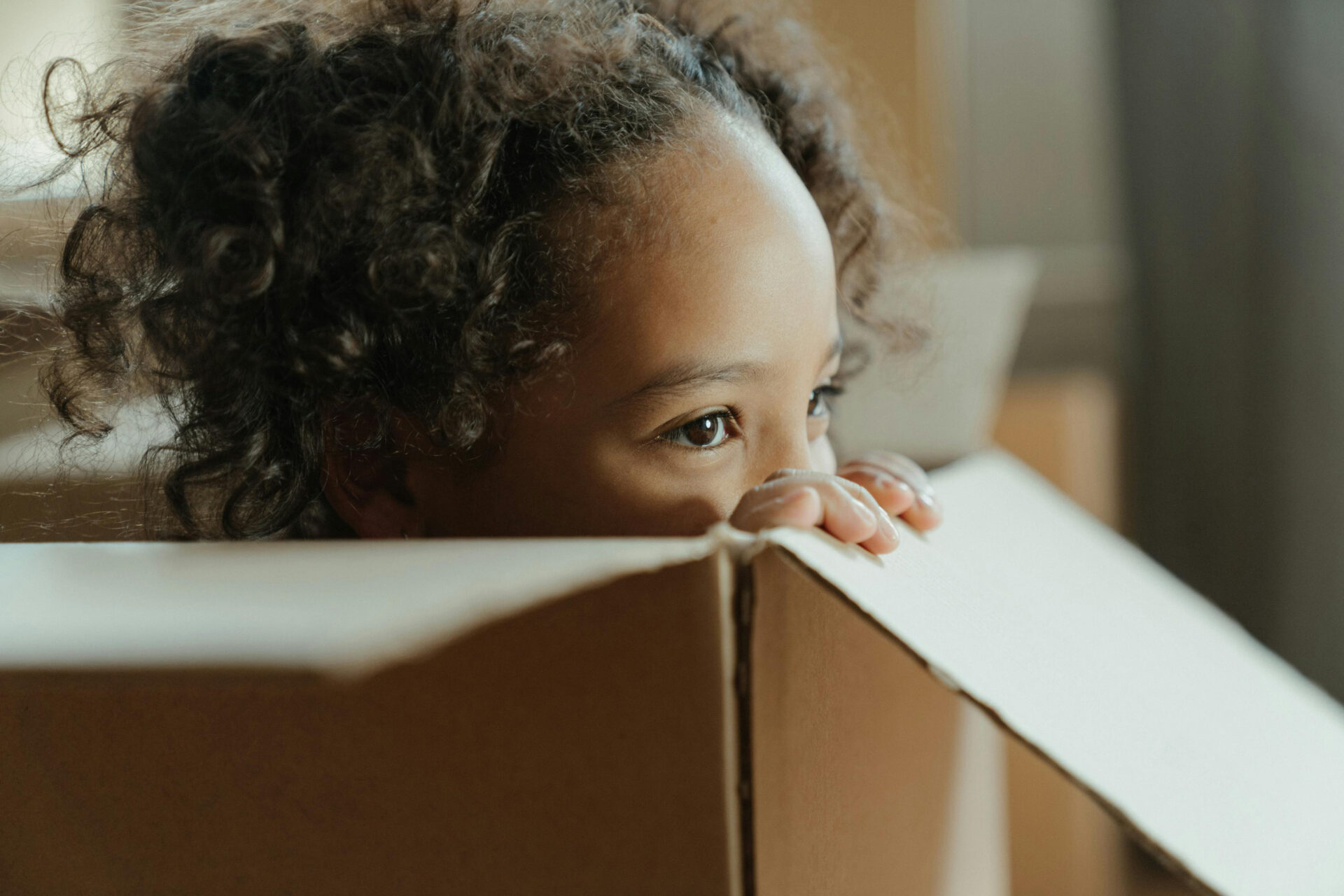 Summer Moving With Kids: Fun Tips, Games &#038; Distractions, Pro100movers
