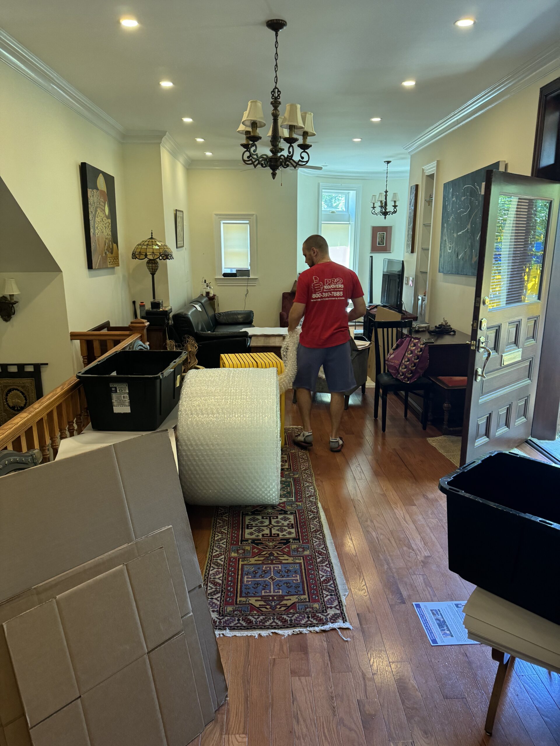 Furniture Moves and Assembly