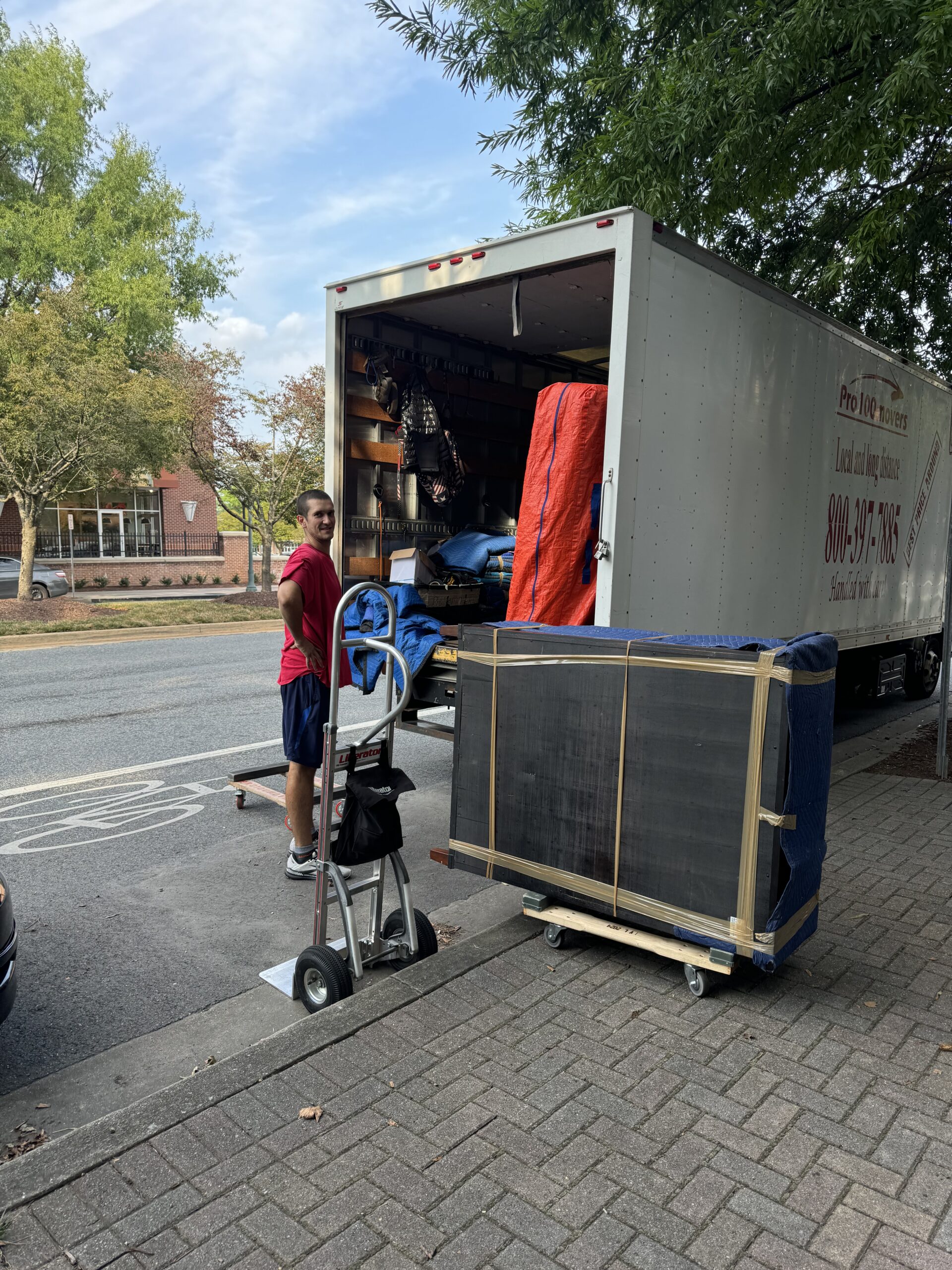 Furniture Moves and Assembly