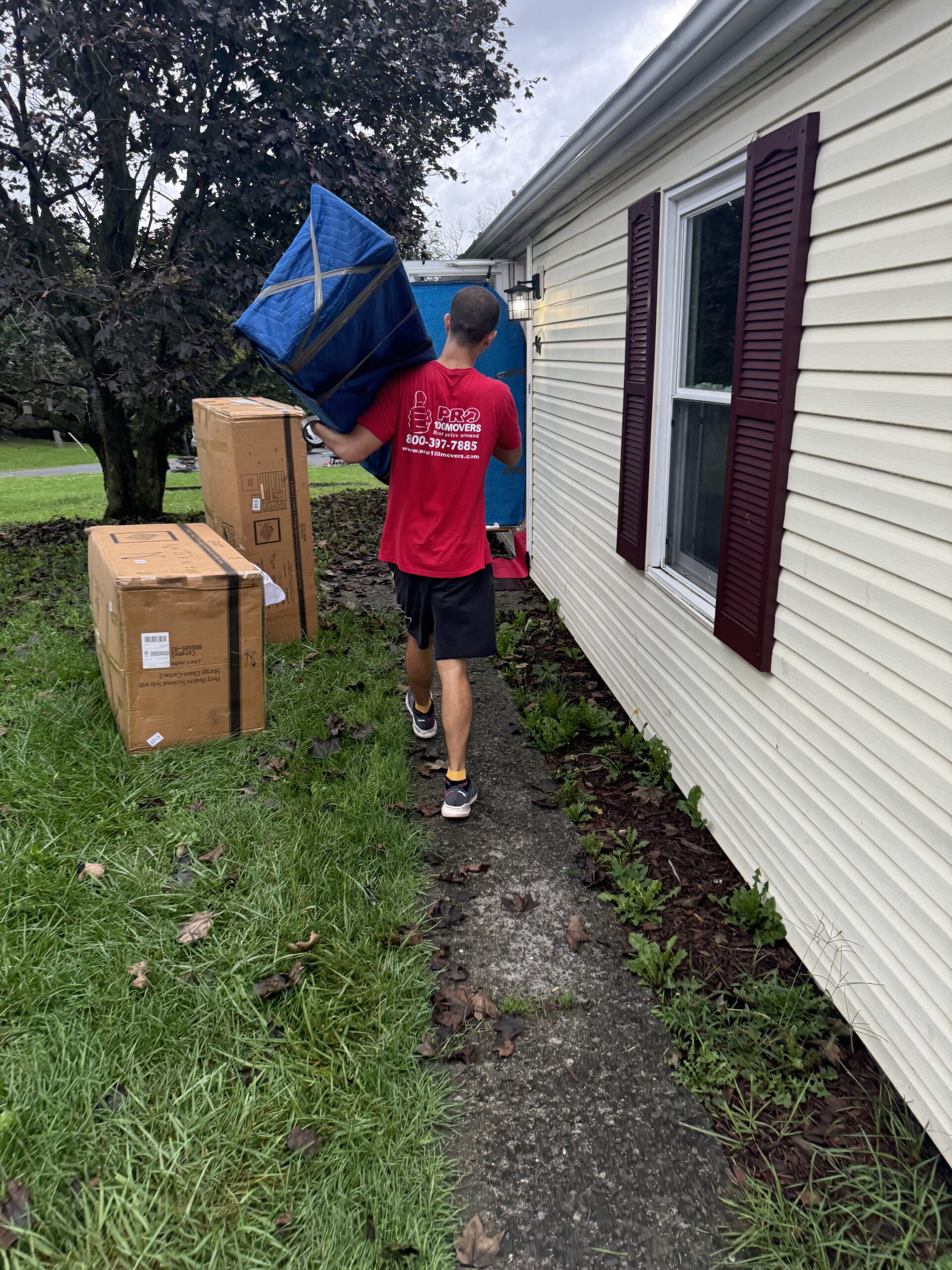 Furniture Moves and Assembly