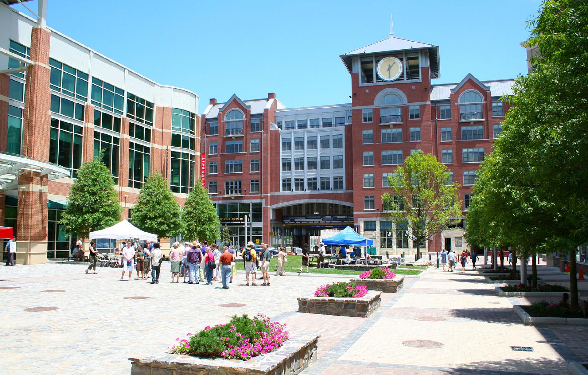 Professional movers in Rockville MD — Pro100Movers