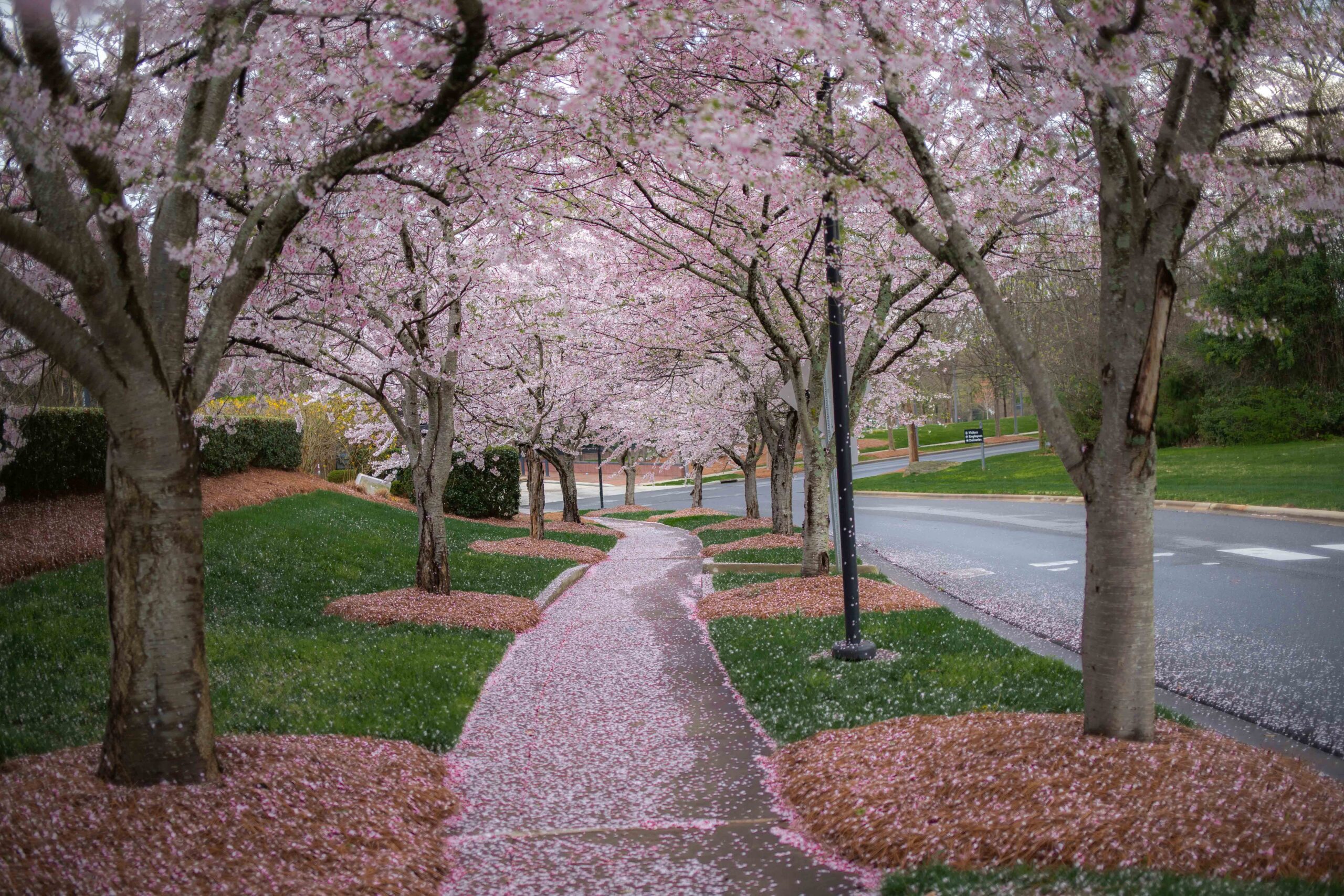 Spring Moving Checklist for Homeowners in Washington DC